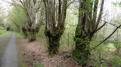 16/04/2023 Marchainville