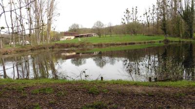 16/04/2023 Marchainville