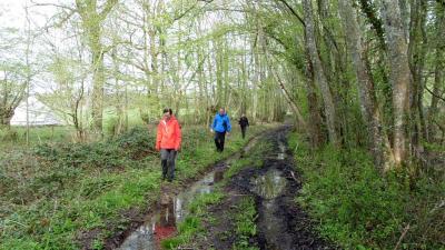 16/04/2023 Marchainville