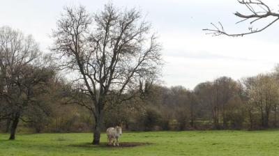 16/04/2023 Marchainville