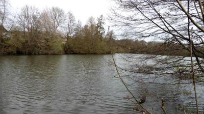 16/04/2023 Marchainville