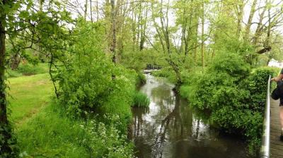 07/05/2023 Chapelle Royale