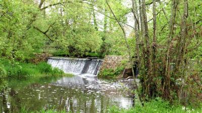 07/05/2023 Chapelle Royale