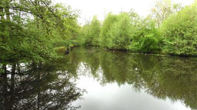 07/05/2023 Chapelle Royale