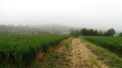 14/05/2023 Thiron Gardais