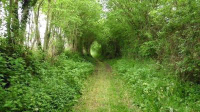 14/05/2023 Thiron Gardais