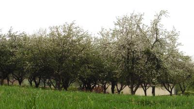 14/05/2023 Thiron Gardais