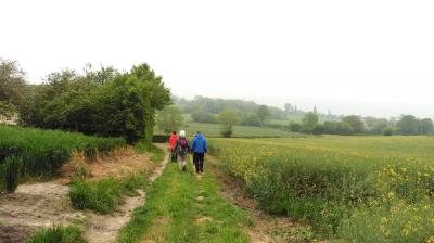 14/05/2023 Thiron Gardais