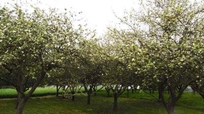 14/05/2023 Thiron Gardais