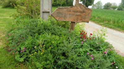 14/05/2023 Thiron Gardais