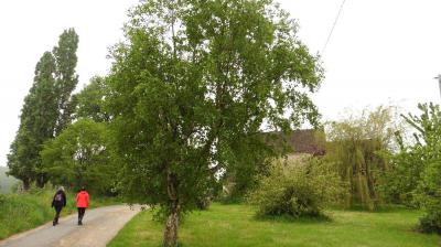 14/05/2023 Thiron Gardais