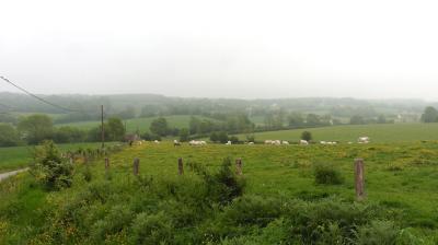 14/05/2023 Thiron Gardais