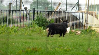 14/05/2023 Thiron Gardais