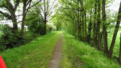 14/05/2023 Thiron Gardais