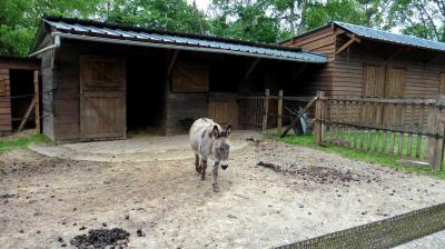 14/05/2023 Thiron Gardais