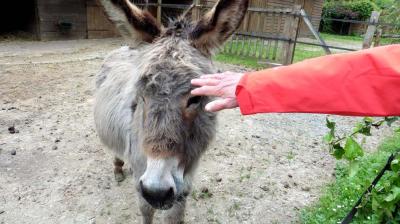 14/05/2023 Thiron Gardais