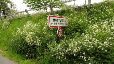 21/05/2023 Le Billot