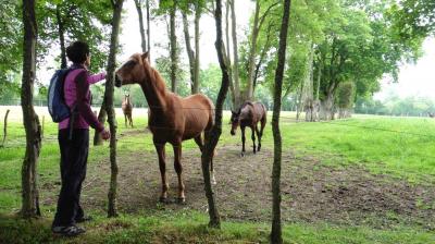 21/05/2023 Le Billot