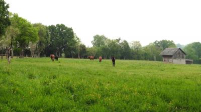 21/05/2023 Le Billot