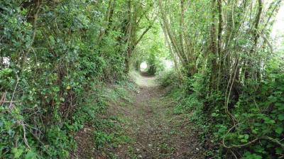 21/05/2023 Le Billot