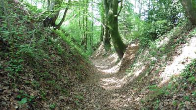 21/05/2023 Le Billot