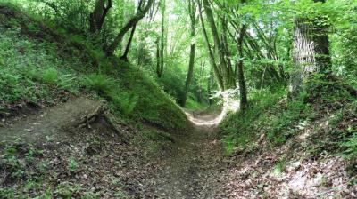 21/05/2023 Le Billot