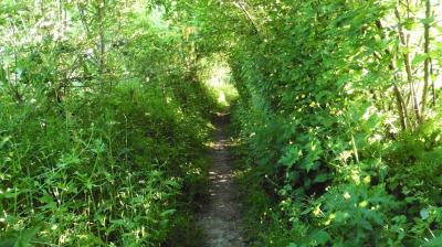 28/05/2023 La Chapelle Montligeon