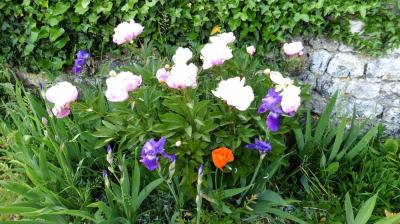 28/05/2023 La Chapelle Montligeon