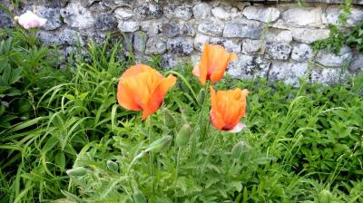 28/05/2023 La Chapelle Montligeon