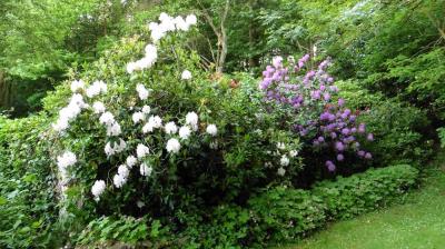 28/05/2023 La Chapelle Montligeon