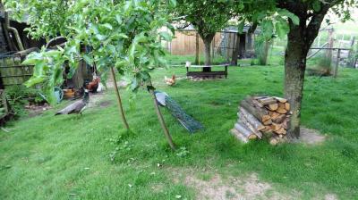 28/05/2023 La Chapelle Montligeon