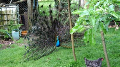 28/05/2023 La Chapelle Montligeon