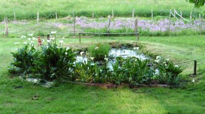 28/05/2023 La Chapelle Montligeon