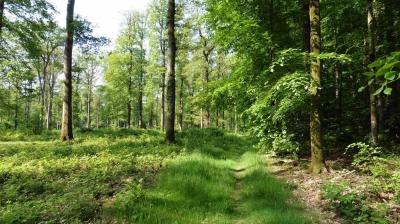 28/05/2023 La Chapelle Montligeon