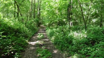 28/05/2023 La Chapelle Montligeon