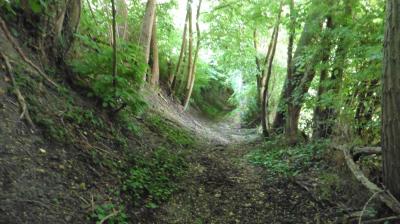 18/06/2023 St Aubin des Grois