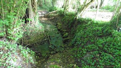 18/06/2023 St Aubin des Grois