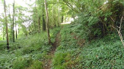 18/06/2023 St Aubin des Grois