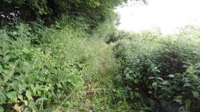 18/06/2023 St Aubin des Grois