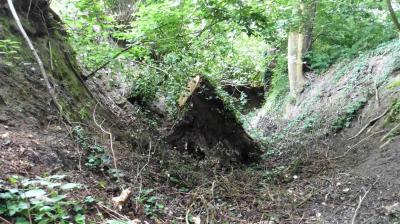 18/06/2023 St Aubin des Grois