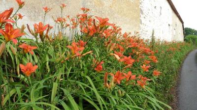 18/06/2023 St Aubin des Grois