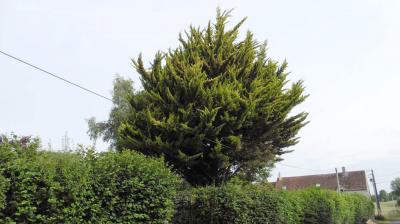 18/06/2023 St Aubin des Grois