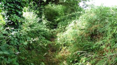 18/06/2023 St Aubin des Grois