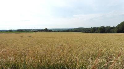 18/06/2023 St Aubin des Grois