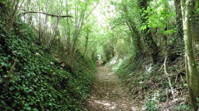 18/06/2023 St Aubin des Grois
