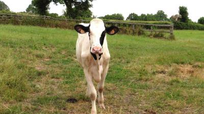 18/06/2023 St Aubin des Grois