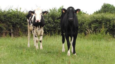 18/06/2023 St Aubin des Grois