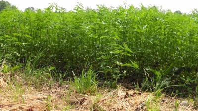 18/06/2023 St Aubin des Grois