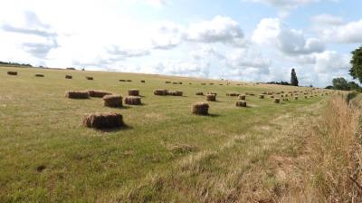 26/06/2023 Tour de la Suisse Normande étape 1