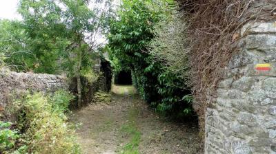 26/06/2023 Tour de la Suisse Normande étape 1